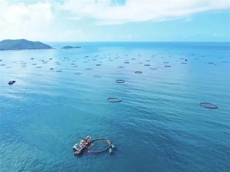 再攀新高！三亞農投海洋產(chǎn)業(yè)有限公司成功入選海南省專(zhuān)精特新企業(yè)