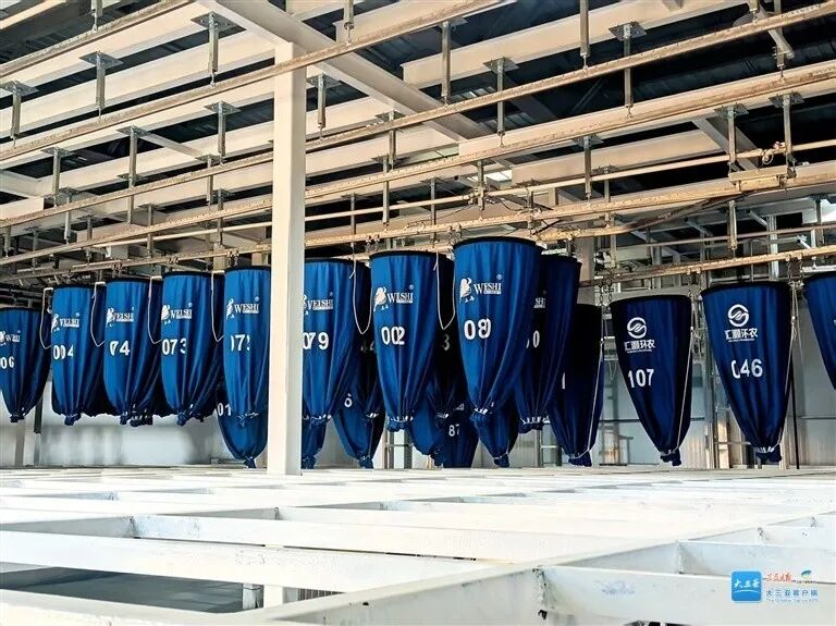 智慧賦能 三亞環(huán)農(nóng)布草洗滌園邁入實質(zhì)運營階段